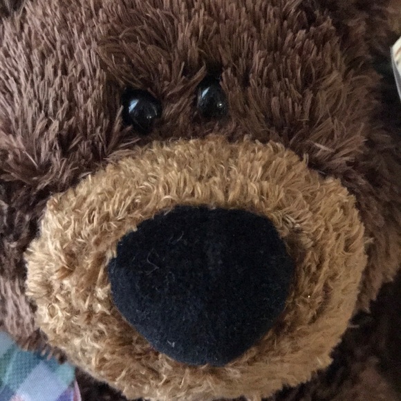 Collector Bear by Gund - Picture 2 of 8